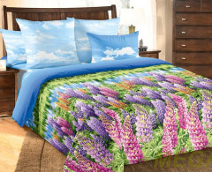 LBX X1203-20/280 PJak